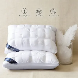 2-Piece Pillow Set